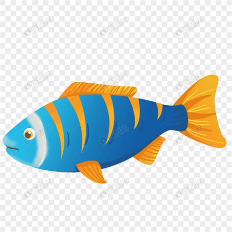 魚的圖